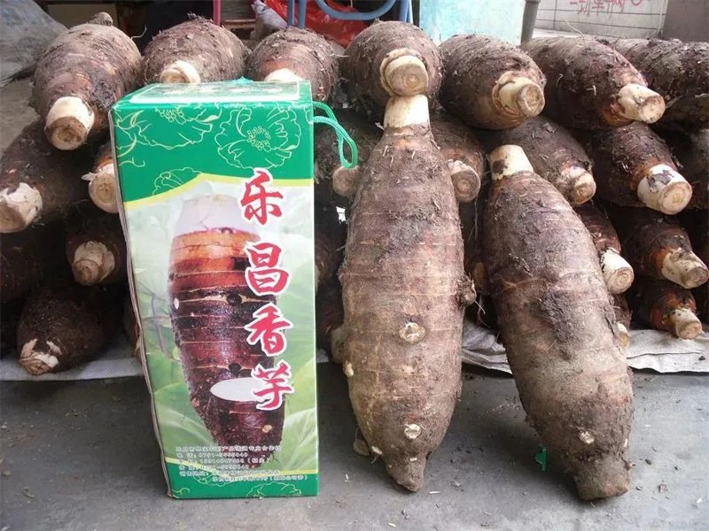 文化创意：以设计之光点亮城市魅力